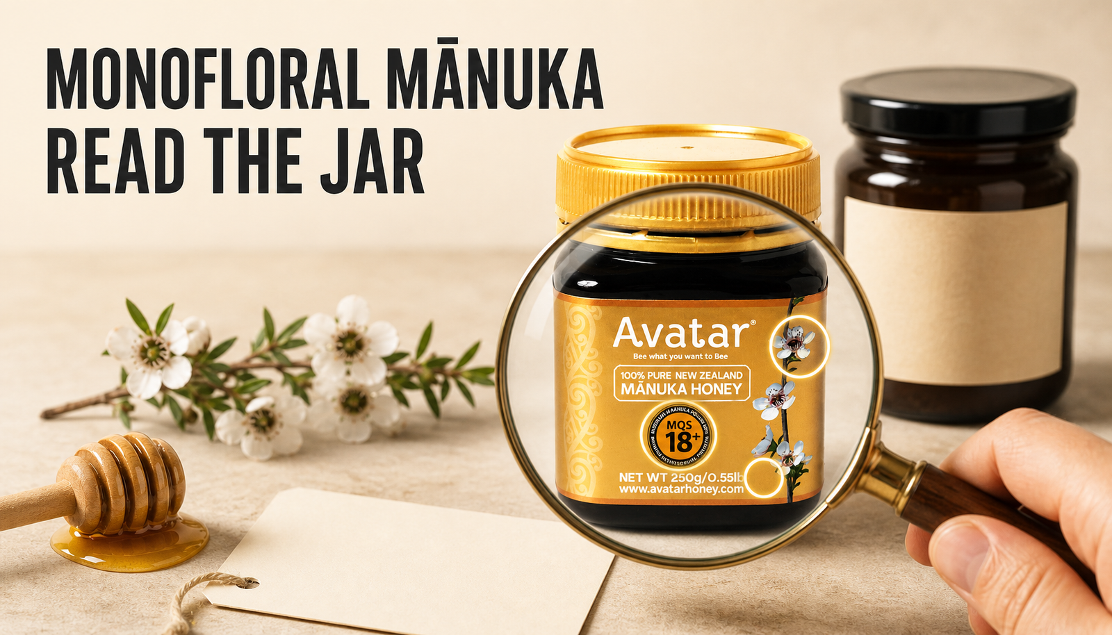 Avatar Mānuka honey jar inspected with a magnifying lens beside a blank comparison jar, with headline text reading Monofloral Mānuka, Read the Jar.