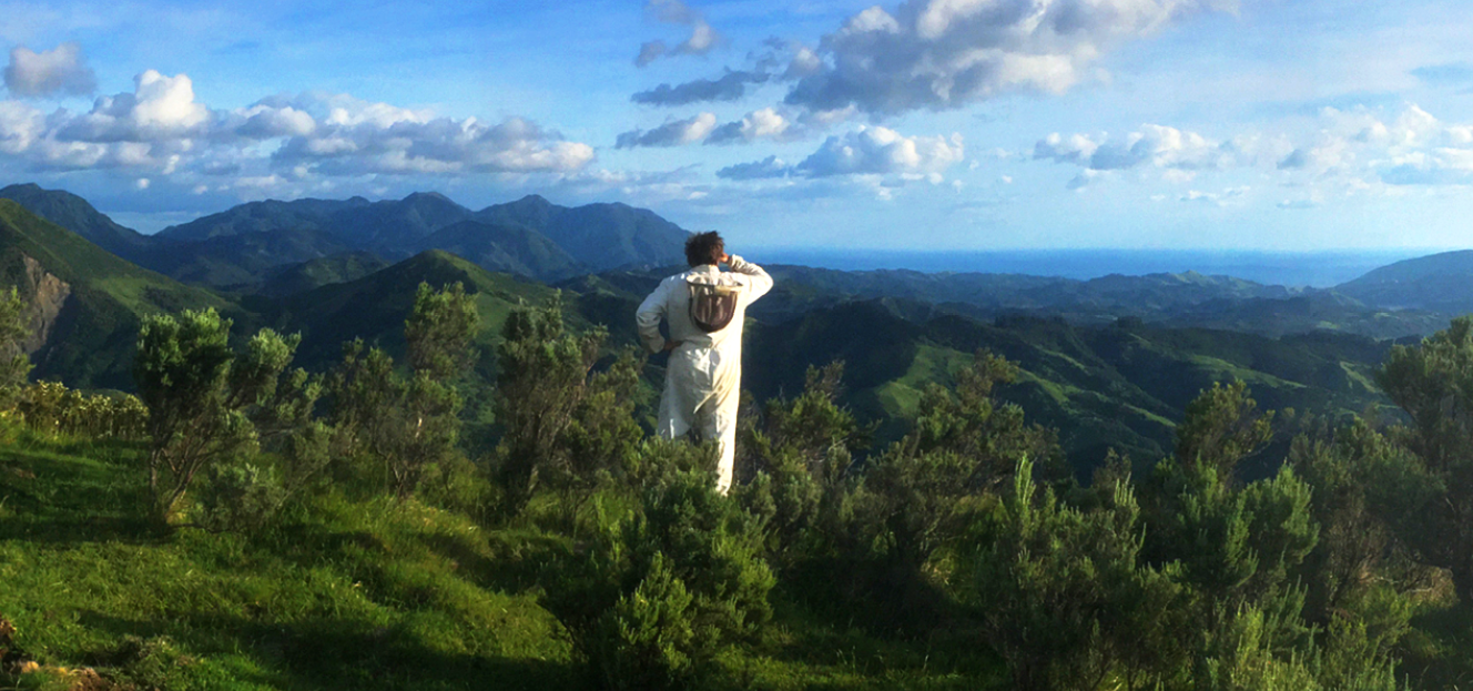 organic enviroment manuka honey